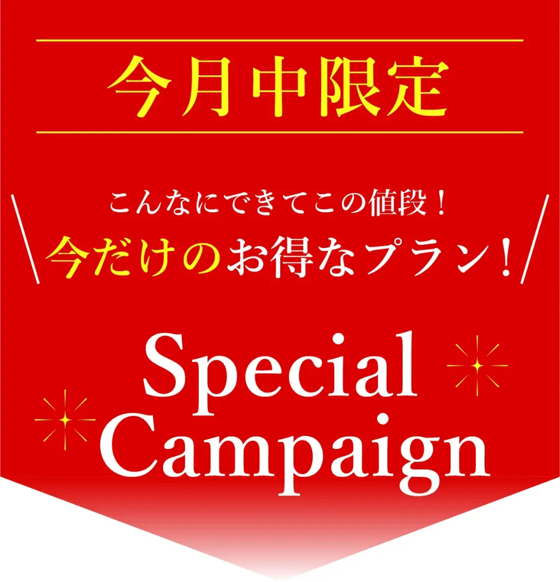 今月中限定、こんなにできてこの値段！今だけのお得なプラン！SpecialCampaign