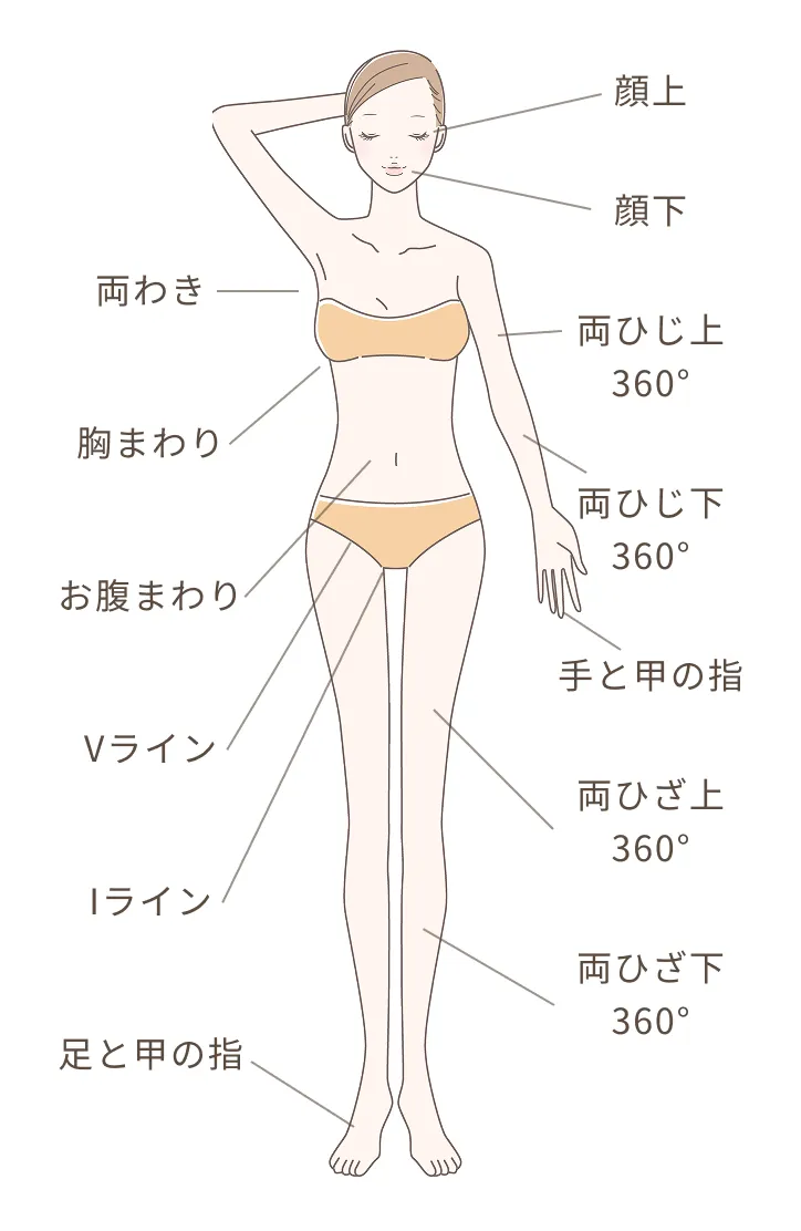 顔上,顔下,両わき,両ひじ上360°,両ひじ360°,胸まわり,お腹まわり,手と甲の指,Vライン,Iライン,両ひざ上360°,両ひざ下360°,足と甲の指