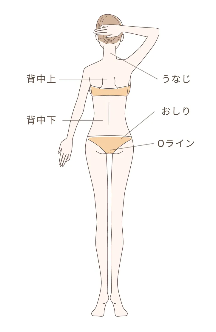 うなじ,背中上,背中下,おしり,Oライン